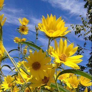 Meet your Posher, Tammi